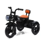 Kids Play Bike Design TriCycle with Pedals - China